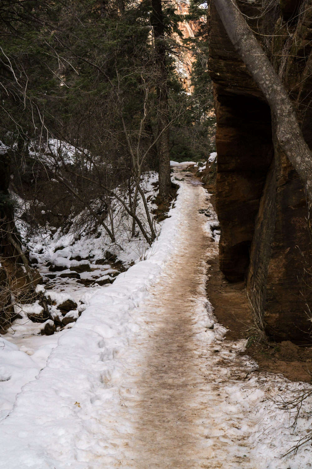 Zion Angels Landing winter-3 - Agent Athletica