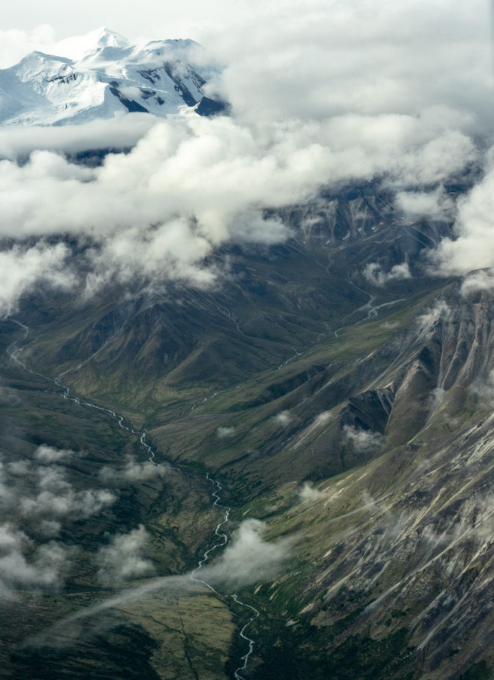 Denali flightseeing tour from Kantishna